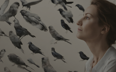 Emo-Bird Watch Your Way Through Overwhelm