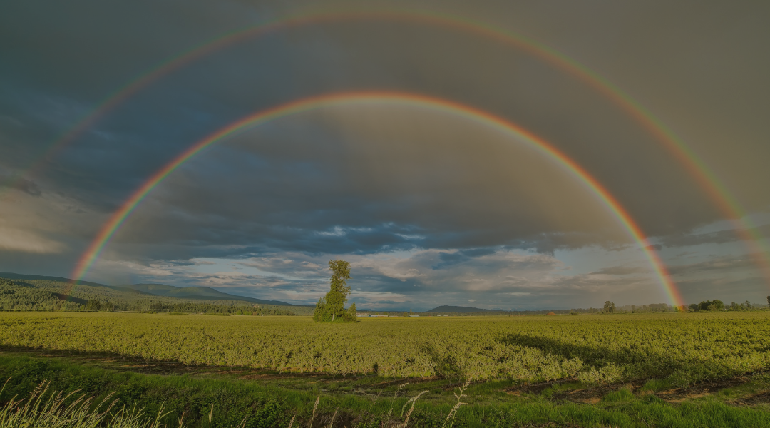 The Miracle of the Rainbow