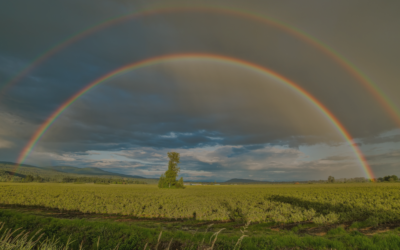 The Miracle of the Rainbow